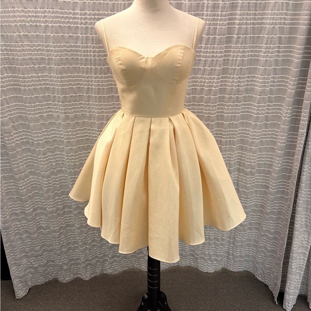 Elegant Nude Bustier Dress